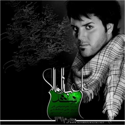 دانلود آهنگ جدید علی عبدالمالکی نشد