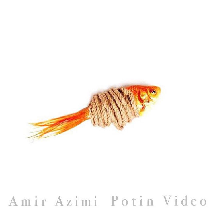 Amir Azimi - Potin