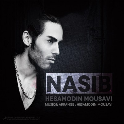 Hesamodin-Mousavi-Nasib