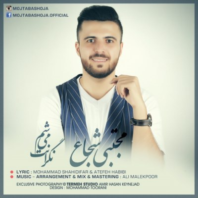 دانلود آهنگ جدید مجتبي شجاع نگرانت ميشم
