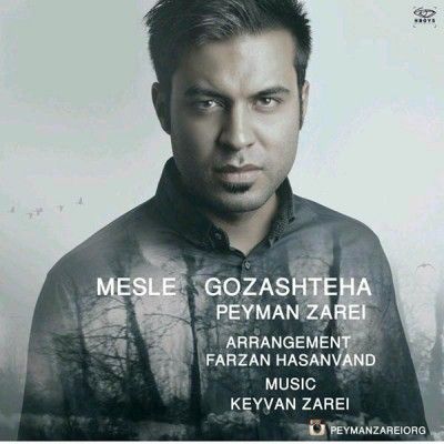 Peyman-Zarei-Mesl-Gozashteha