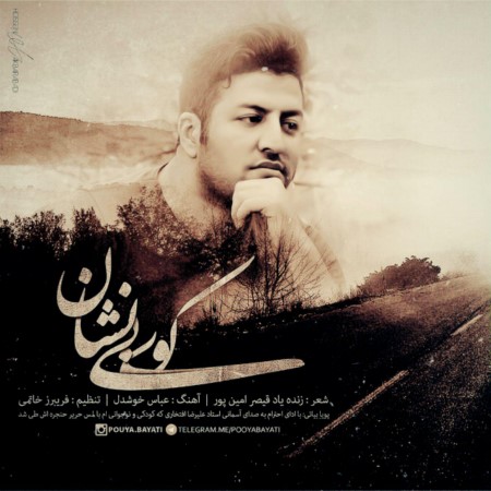 دانلود آهنگ جدید پویا بیاتی کوی بی نشان