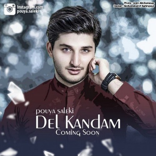 Pouya Saleki+Del Kandam