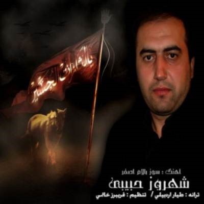 دانلود نوحه جدید شهروز حبیبی سوسوز بالام اصغر