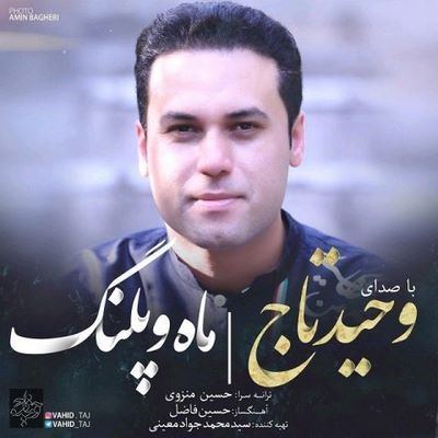 دانلود آهنگ جدید وحید تاج ماه و پلنگ